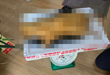 털 벗긴 고양이 사체 저울에…국내 베트남인 모임에 뜬 고기 판매글