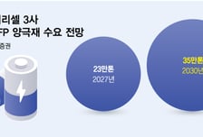 중국산 LFP 양극재 대체 시동..국산 생산능력 최대 33만톤↑