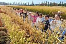 [내일 날씨] 아침 올가을 최저…전국 맑지만 큰 일교차
