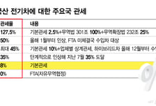 '저가 中 전기차'에 줄줄이 안방 내줬다...한국도 비상
