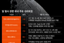 시동 걸린 'K-달 탐사 프로젝트'…우주 스타트업도 함께 뛴다