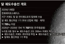 2029년엔 우주발사체·수송선·위성 모두 '민간 주도'…뉴스페이스 본격화