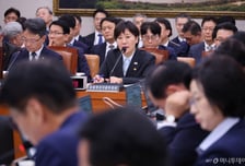 "풍차 돌격하는 돈키호테 꼴" 野 농지조사 李대통령 비판에 與 "악용 멈추라"