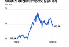 반도체주 급락 3가지 이유…외부 자금에 의존하는 AI 투자, 커지는 우려
