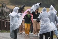 태풍 '참피' 북상에 제주 산간 260㎜ 폭우…남부지방 강풍·호우 비상