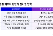 "중복상장" 정치권 공세, 주가도 33% '뚝'...결국 좌초된 솔리다임 IPO