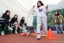 "동물 학대하면 5년간 못 키운다"...2m 미만 목줄 '벌금 100만원'