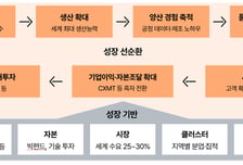 삼일PWC "한국 반도체, 중국산 공급 확대 대비해야"