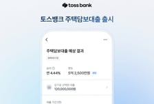 토스뱅크, '연립·다세대 품은' 주담대 출시…대출심사 실시간 확인 가능
