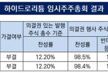 [더벨]주총 문턱 못 넘은 대주주, 하이드로리튬 주식병합 불발