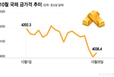 주식 떨어지고, "고점에 물렸다" 금값도 28% '뚝'...개미들 대피한 곳