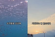 "특산물 30만원어치 강매"…가짜 영상에 울릉군 몸살