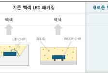 서울반도체, '희토류 필요없는' 초소형 백색 LED 최초 개발