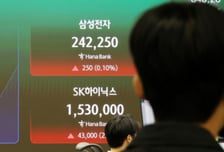 "SK하닉 개미 설렌다" 오늘도 5% '불기둥'...외인 또 담는다