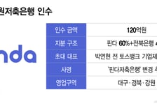 'AI' 내세우지만… 핀다저축은행, 열악한 지방 경제 극복해낼까