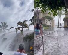 [더영상] 하와이 2층 아파트 삼킨 7.6m 파도…확진에도 웃는 바이든