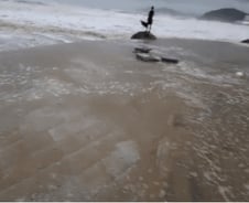 [더영상]해운대서 수영한 외국인…힌남노 '빌런'들