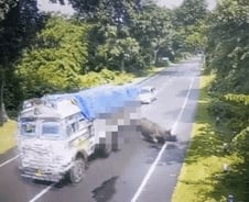 [더영상] 달리던 트럭 들이받은 코뿔소…테헤란 뒤덮은 '핏빛' 분수대