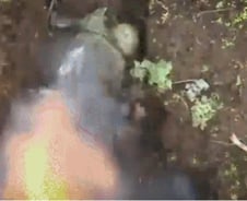 [더영상]명품백 훔쳐 뛰다 통유리에 '쾅'…맨손으로 수류탄 처리