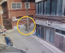 [더영상]"내가 뭘 본 거지?" 탈출 얼룩말 본 시민 반응…트럭 위 '비보잉'