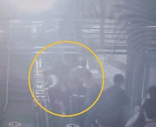 [더영상] 아찔 역주행에 시민 '와르르'…"주인님 날 봐요" 날다람쥐 '죽은 척'