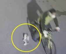 [더영상] 골목길에 떨어진 돈다발을 봤다면?…대낮 도로에 악어가?