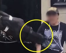 [더영상] ①폭우 한강 낚시 ②인증샷 찍다 팔 물린 관광객 ③전 남친에 주먹 날린 러시아녀