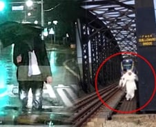 [더영상] ①철로 위 민폐 웨딩 촬영 ②가로수에 깔리고도 멀쩡 ③검은 옷 입고 차도 역행