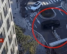 [더영상] ① 주차장 막은 '민폐' 입주민 ② 왕복 8차로 무단횡단 ③ 후진으로 고양이 '쾅'