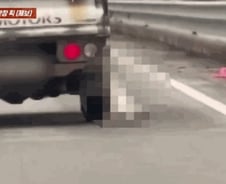 [더영상] ① 개 사체 매달고 달린 트럭 ② 주차장 스패너 테러 ③ 놀이터서 '굿샷'