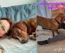 [더영상] ①'1억' 테슬라에 발길질 ②콘서트서 '목말' ③인형 '쓰담쓰담' 받는 유기견