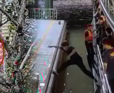 [더영상] ①물에 빠진 민폐 한국인 ②스쿨존 뺑소니 ③철로 위 시민 구한 영웅