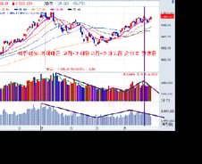 [내일의 전략]주가는 거래량의 그림자