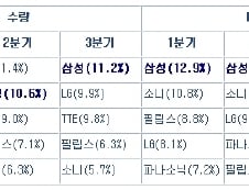 삼성디지털연구소,세계TV시장 총아로'우뚝'