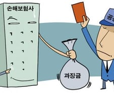 "공정위 과징금 보험계약자가 부담"