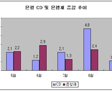 당국, 은행 CD·은행채 발행 "주의"
