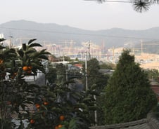 기자촌 "너른 터 주고 꽉 막힌 아파트서 살라고?"