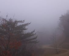 길은 가까이 있다