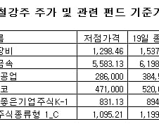 [내일의전략]여유 찾은 여의도