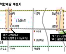 강남구, 맨해튼식 고밀도개발 추진