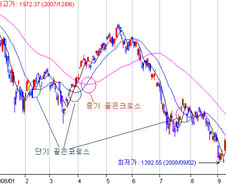 [내일의전략] 멍에를 벗고 훌훌 날자