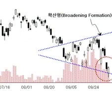 [내일의전략]한계넘은 환율,악재 아니다