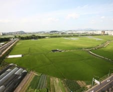 토박이 서울농부들 100억 '대박'