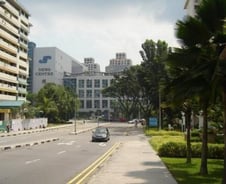 [르포]'휘청' 싱가포르, 화교자본으로 '꿈틀'