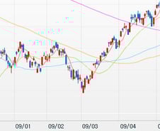 [내일의전략]또다시 주목받는 개미들