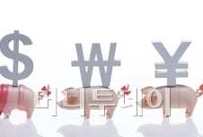 대한민국 재테크 선생님, PB의 세계