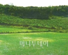 정말 좋은 땅이라면 당신에게 팔까?