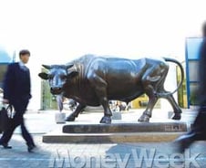 2009 재테크킹은 주식과 황금