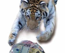 재테크 키워드 '호시탐탐·호시우행·호구여생'