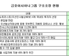 [표]금호그룹 구조조정 추진 현황